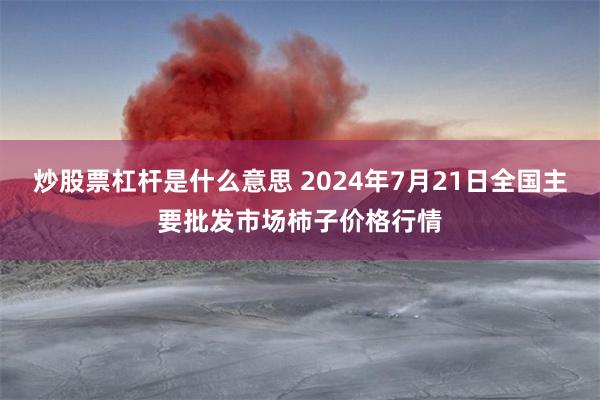 炒股票杠杆是什么意思 2024年7月21日全国主要批发市场柿子价格行情