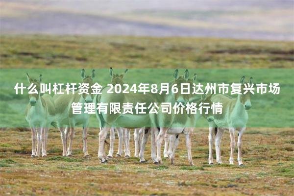 什么叫杠杆资金 2024年8月6日达州市复兴市场管理有限责任公司价格行情