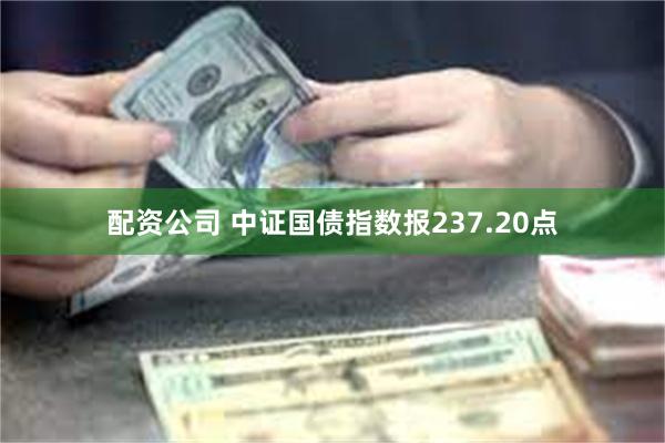 配资公司 中证国债指数报237.20点