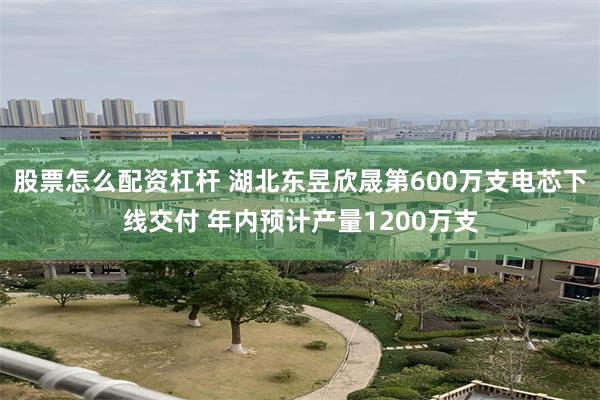 股票怎么配资杠杆 湖北东昱欣晟第600万支电芯下线交付 年内预计产量1200万支