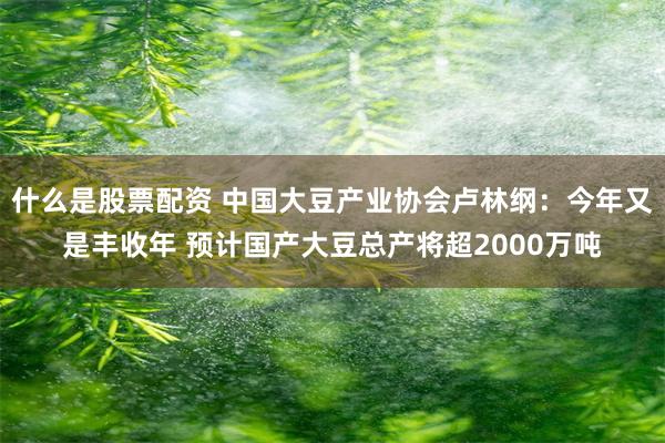 什么是股票配资 中国大豆产业协会卢林纲：今年又是丰收年 预计国产大豆总产将超2000万吨