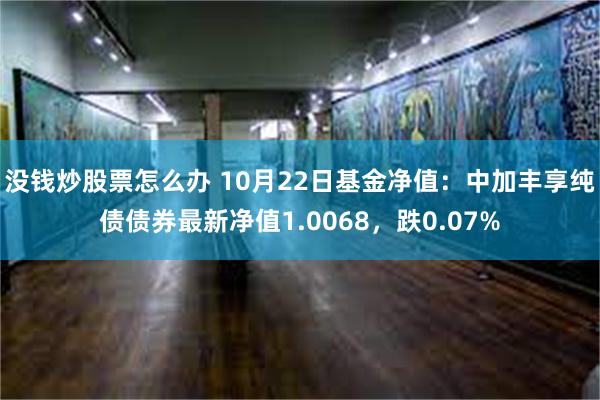 没钱炒股票怎么办 10月22日基金净值：中加丰享纯债债券最新净值1.0068，跌0.07%