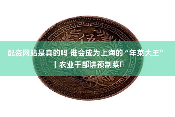 配资网站是真的吗 谁会成为上海的“年菜大王” 丨农业干部讲预制菜㉒