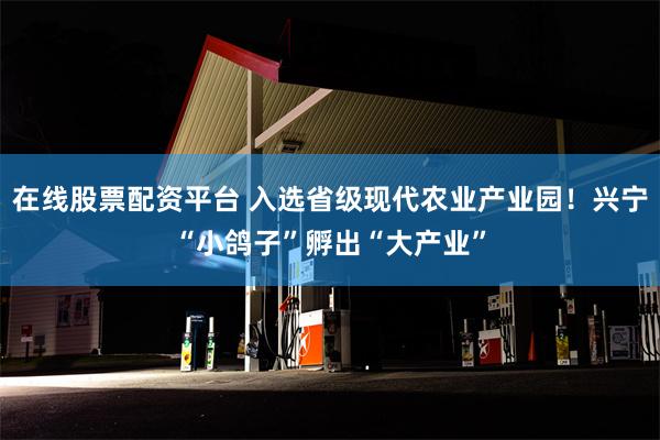 在线股票配资平台 入选省级现代农业产业园！兴宁“小鸽子”孵出“大产业”