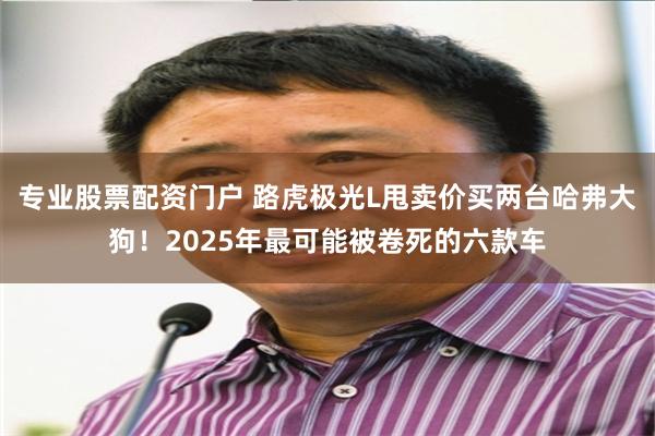 专业股票配资门户 路虎极光L甩卖价买两台哈弗大狗！2025年最可能被卷死的六款车