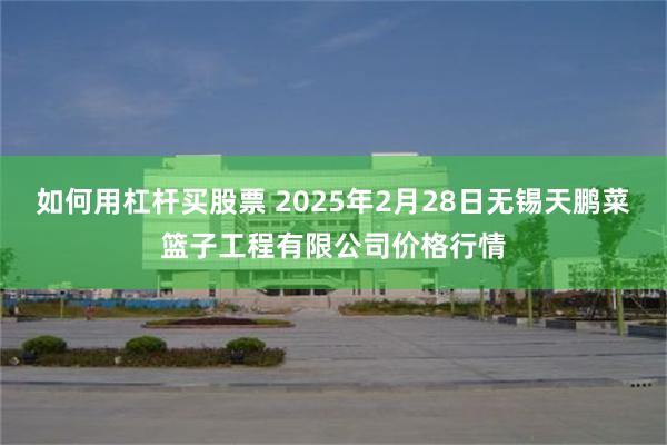 如何用杠杆买股票 2025年2月28日无锡天鹏菜篮子工程有限公司价格行情