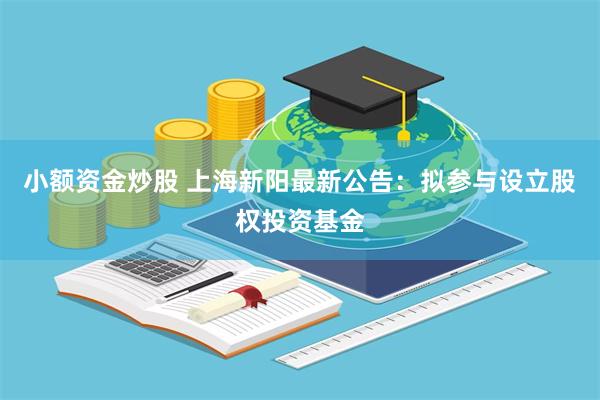小额资金炒股 上海新阳最新公告：拟参与设立股权投资基金