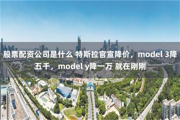 股票配资公司是什么 特斯拉官宣降价，model 3降五千，model y降一万 就在刚刚